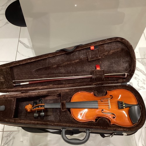 Violino standard stentor - standard,