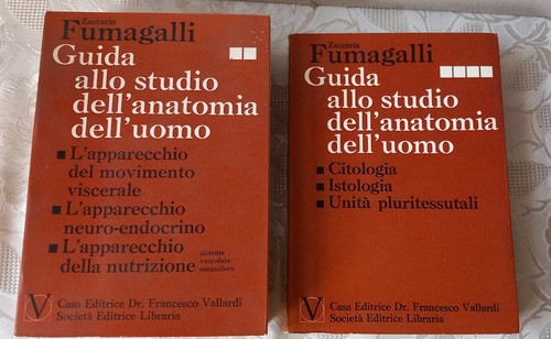 Volume fumagalli guida - 2, 4