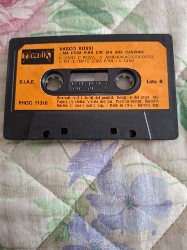 Vasco rossi cosa vuoi che - -,