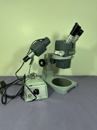 Microscopio zoom stellare