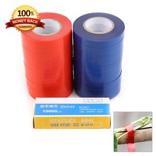 10x nastri pvc piante - piante, cravatta