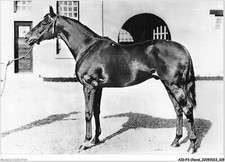 AIDP3-CHEVAUX-0205 - Francia -