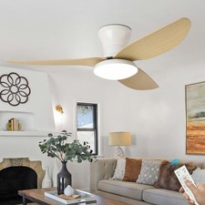 Grande Ventilatore da Soffitto