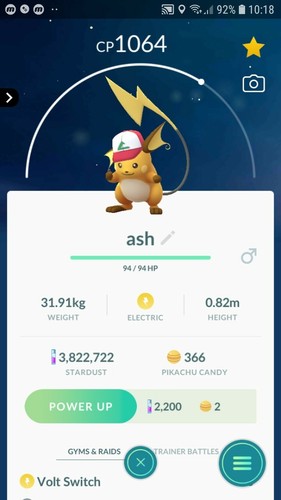 Raichu - (cappello, cenere)