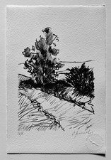 Oliviero Gessaroli –
