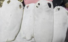 Pelle di pesce razza vera 7 pollici pelle grezza embrione pelle di pesce traslucida pelle bianca