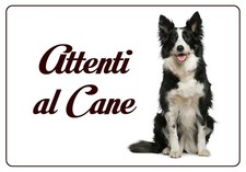 BORDER COLLIE TARGA ATTENTI AL