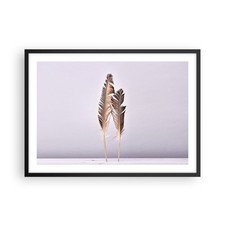 Poster 70x50cm Due piume lilla