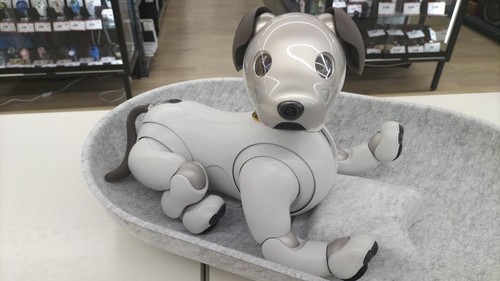 Sony ers 1000 - sony, aibo
