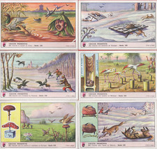 FIGURINE CAFFE LAVAZZA SERIE