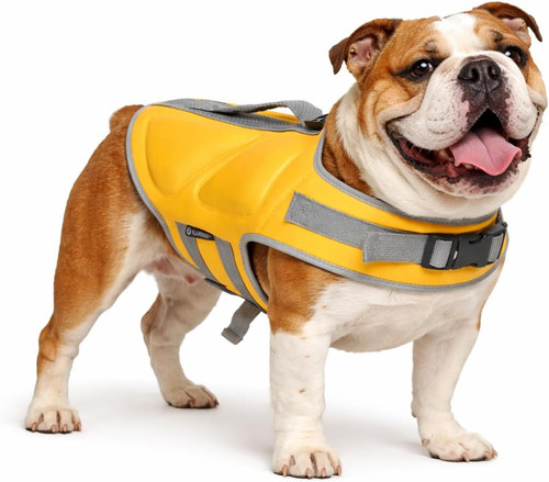 Salvagente cane giubbotto - cane,