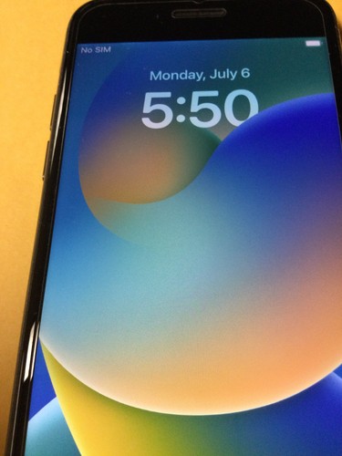 Iphone 64gb grigio siderale - iphone,