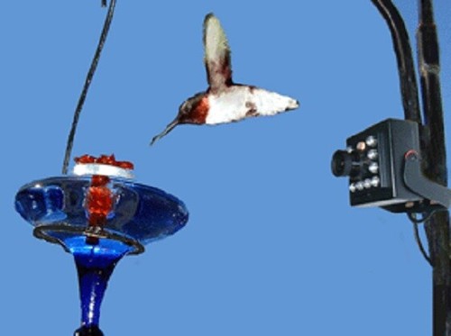 Nuova videocamera spia hawk - spia,