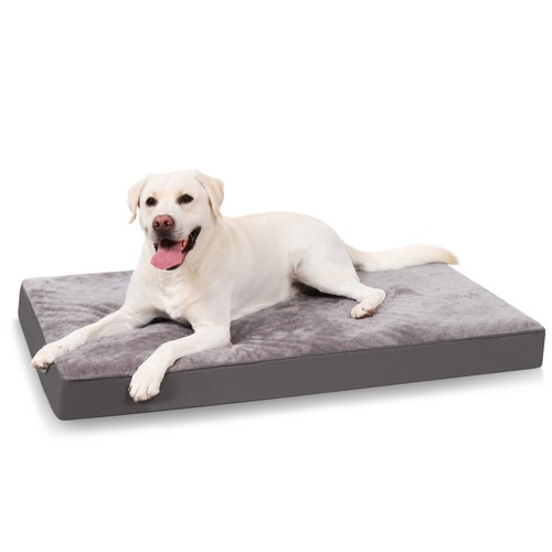 Cuscino per cani - cani, grande