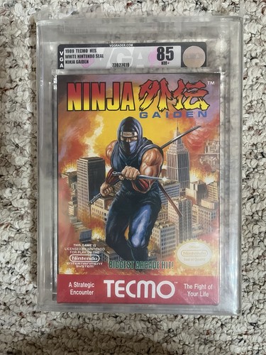 Ninja gaiden nes - ninja,