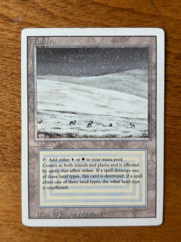 Magic the gathering - gathering, tundra