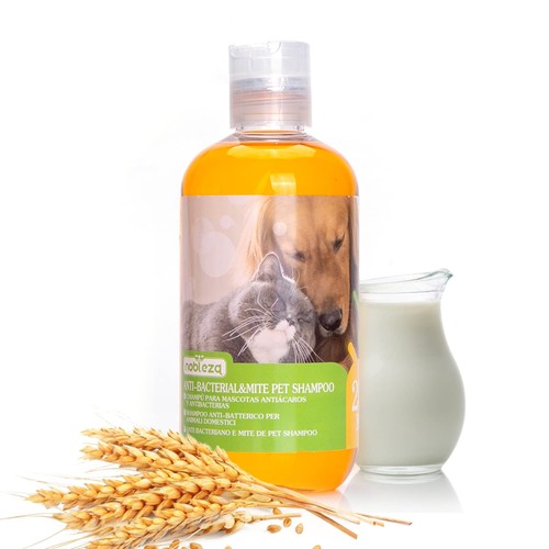 Shampoo per cani - shampoo,