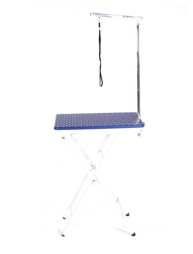 Toelettatura cane gatto - toelettatura,