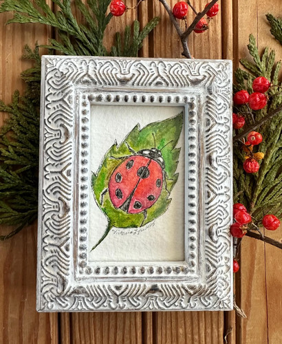Quadro acquerello insetto