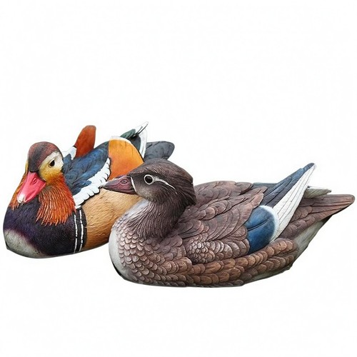 Coppia anatre mandarine - anatre,