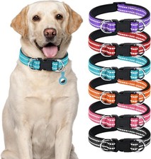 Collare cane personalizzato - collare,