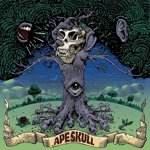 Ape skull - -,
