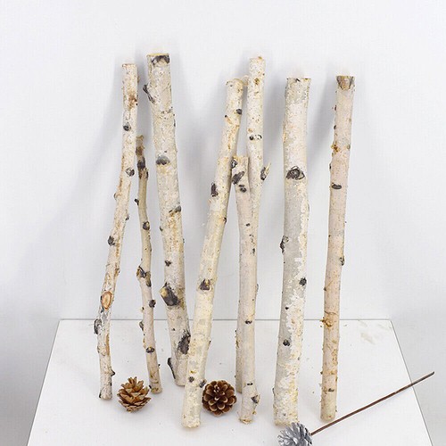 1pz ramo albero secco - ramo,