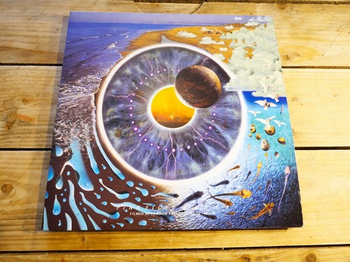 Pink floyd pulse pal - ld,