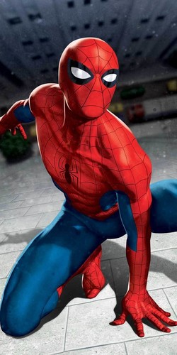 Telo doccia spiderman - telo,