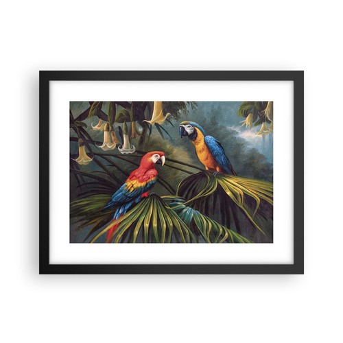 Poster 40x30cm ara pappagalli - poster,