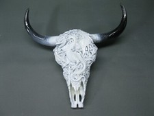 Teschio Bufalo Cranio Toro