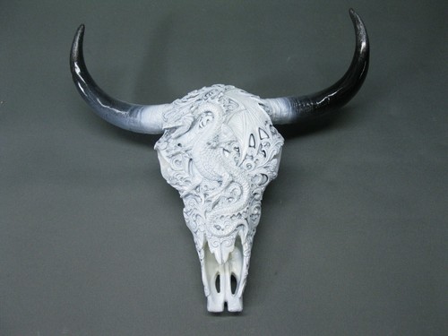 Teschio bufalo cranio - teschio,