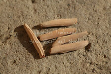 ADENIUM OBESUM MIX, 5 SEMI