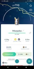 Shiny Morpeko (Full Belly) -