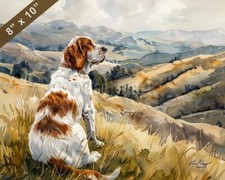 Grand Basset Griffon Vendeen dipinto ad acquerello di un pe stampa 8x10 