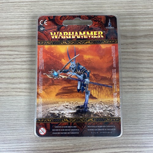 Tzeentch sorcerer signore - tzeentch,