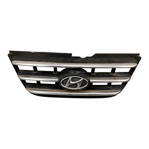 Griglia radiatore hyundai - griglia,