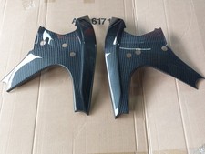 Cover Telaio in Carbonio