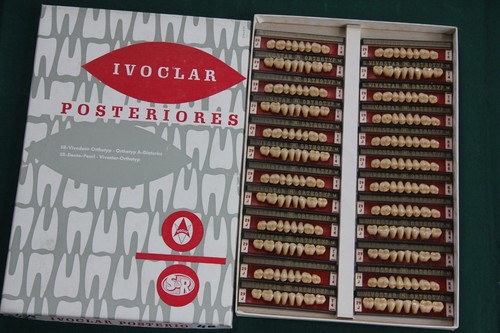 Ivoclar vivodent ortotipo - ivoclar,