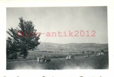 Foto, seconda guerra mondiale