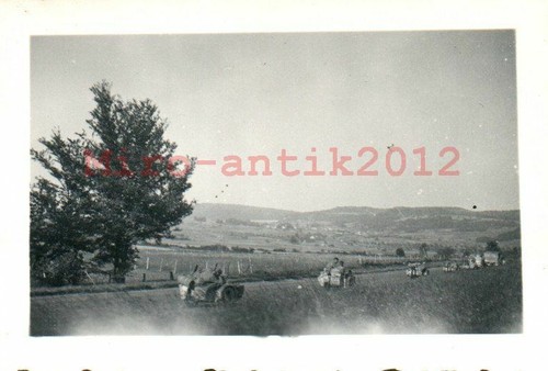 Foto seconda guerra - seconda,