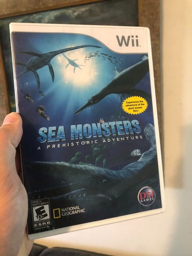Nintendo wii video game - nintendo,