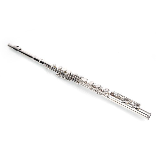 Set flauto banda concerto - , foro