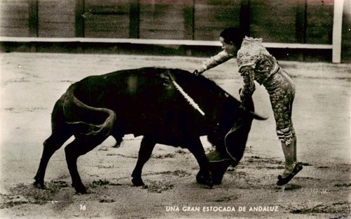Corrida toros - corrida,