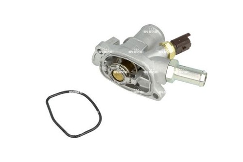 Termostato motori