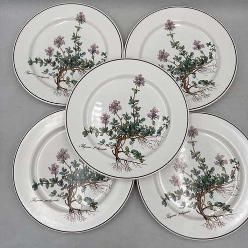 Vintage villeroy boch - vintage,