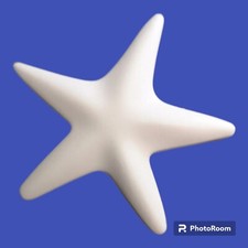 10x Gessetti Stella marina