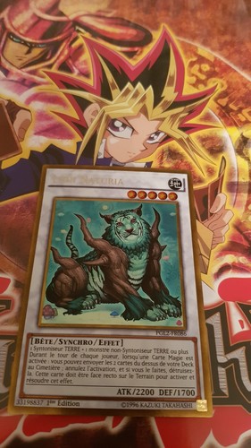 Carte lion naturia - yu-gi-oh!,