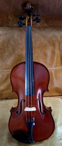 Bellissimo violino maestro