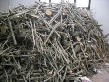 legna olivo secca in